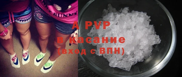 прущие грибы Абинск