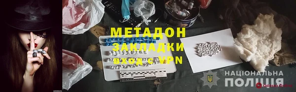 прущие грибы Абинск