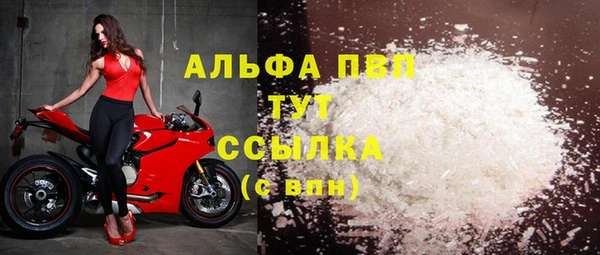 ПСИЛОЦИБИНОВЫЕ ГРИБЫ Магас
