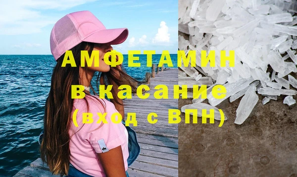прущие грибы Абинск