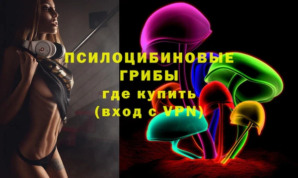 прущие грибы Абинск