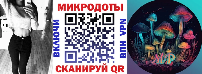 Псилоцибиновые грибы Psilocybe  Фокино 